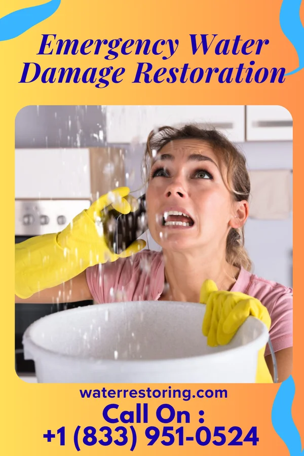 Emergency Water Damage Restoration in Royalton, IL
